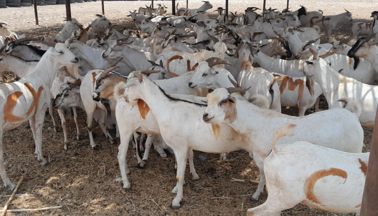 build your website image